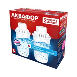 Сменный модуль В5 (В100-5) защита от бактерий (комплект из 2-х штук) в Донецке